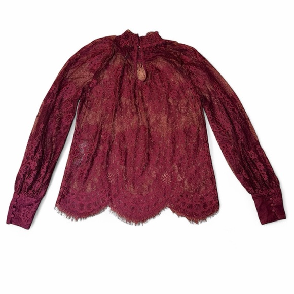 Ever New Burgundy Lace Sheer Blouse — XS Romantic High Neck Long Sleeve Top - Picture 3 of 5